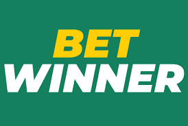 Explore the Thrills of BetWinner Casino