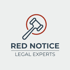 Understanding the Role of Interpol Defense Lawyers 1332759613
