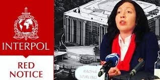 Understanding the Role of Interpol Defense Lawyers 1335400629